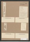 Synedra amphycephala Kuetz., (de-Toni-Nr.: Genus 66, Species 2605) Zeichnungen Sammlung Grunow Nr. 5320 (NHMW-BOT-W0373720)